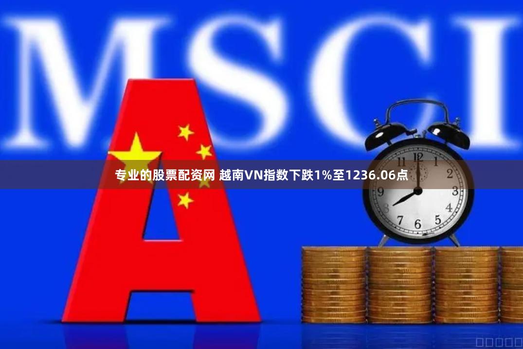 专业的股票配资网 越南VN指数下跌1%至1236.06点