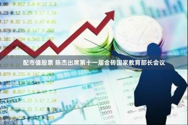 配市值股票 陈杰出席第十一届金砖国家教育部长会议