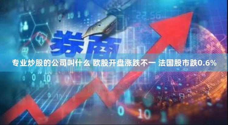 专业炒股的公司叫什么 欧股开盘涨跌不一 法国股市跌0.6%