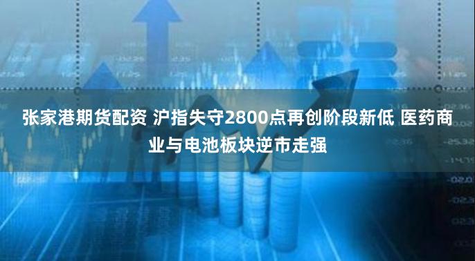 张家港期货配资 沪指失守2800点再创阶段新低 医药商业与电池板块逆市走强