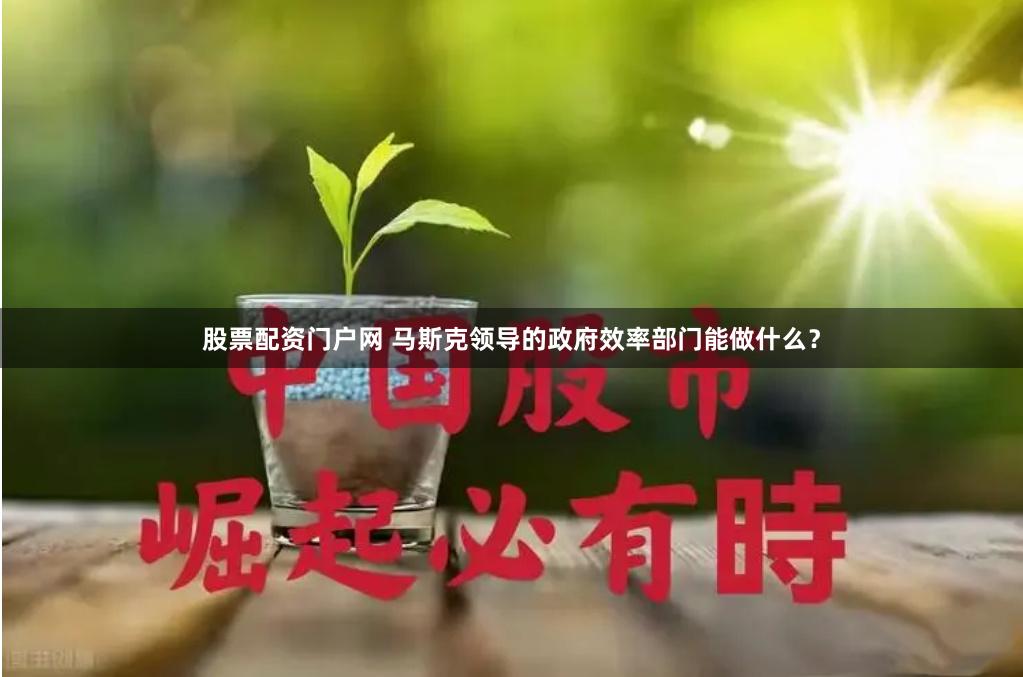 股票配资门户网 马斯克领导的政府效率部门能做什么？